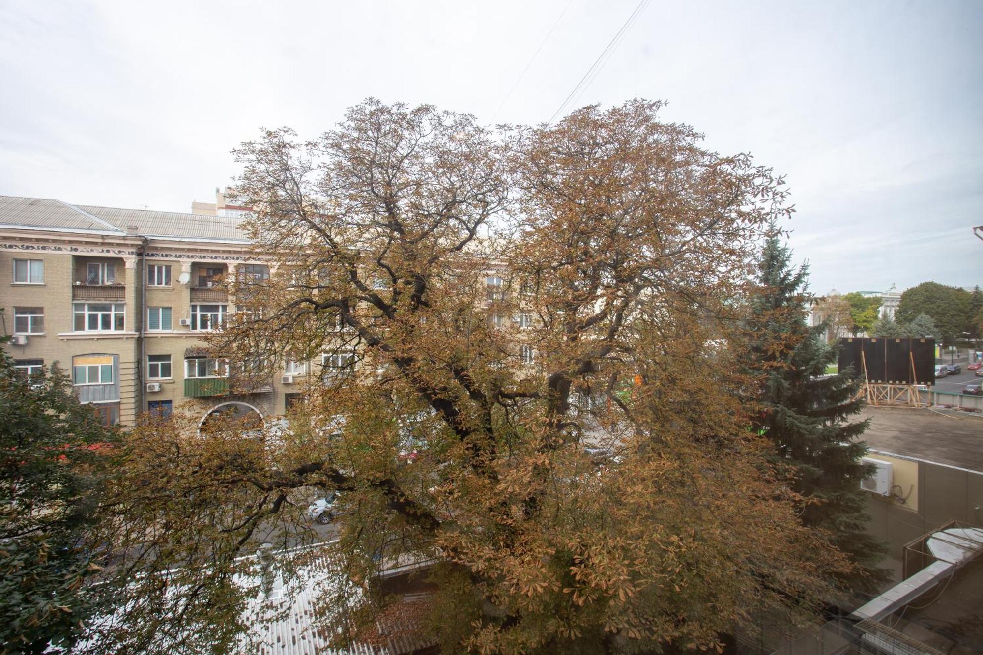 Royal Apartment On Pushkinskaya Charkiw Exterior foto